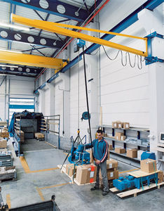 wall-mounted jib crane
