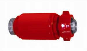 swing check valve