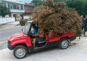 electric vehicle