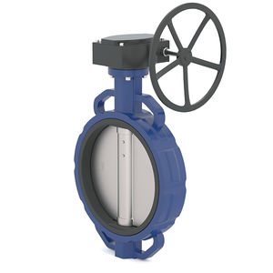 butterfly valve