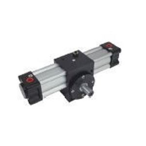 rotary actuator