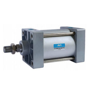 pneumatic cylinder