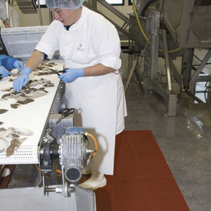 anti-slip mat 1