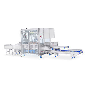 continuous-motion case packer