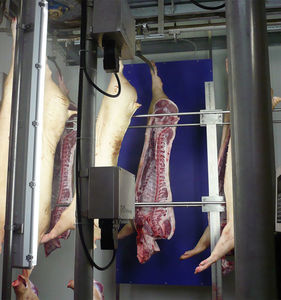 visual quality control system