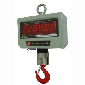 digital crane scale