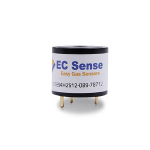 H2S gas sensor