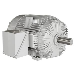 induction motor