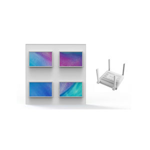 IPS display 1