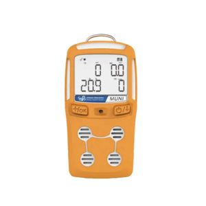 multi-gas detector 1