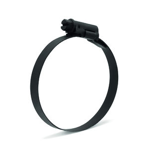 stainless steel hose clamp
