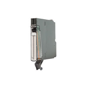 analog input module