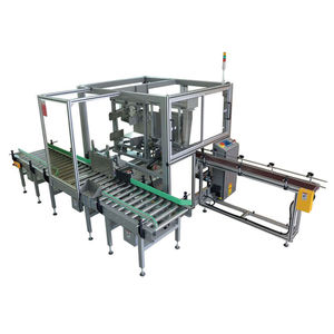 horizontal case packer