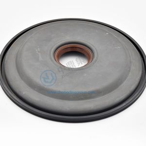 lip seal