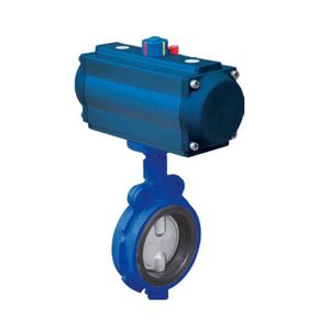 butterfly valve