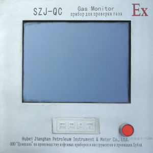 LCD monitor