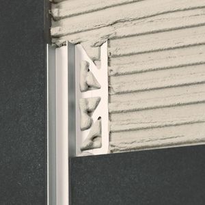 银概要”data-srcset=