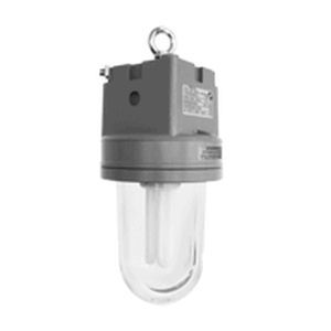 light fixture