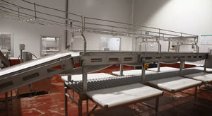 rotary blade cutting line 1