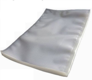 vacuum bag