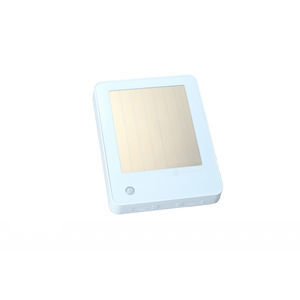 gas sensor