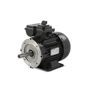 asynchronous motor