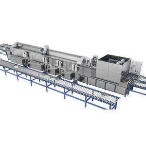 washing tunnel with belt conveyor