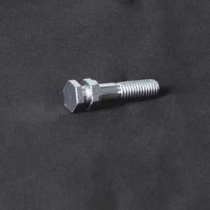 screw with hexagonal head