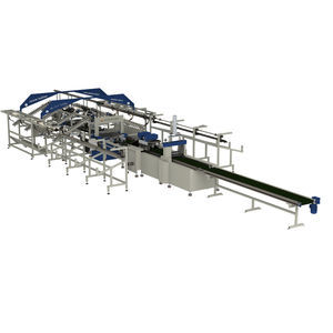 automatic packing machine