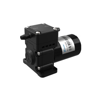 diaphragm pump 1