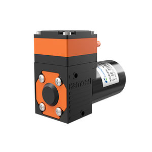 diaphragm pump 1