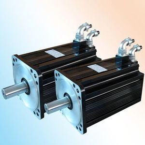 synchronous servo motor