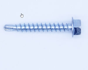 screw with hexagonal head