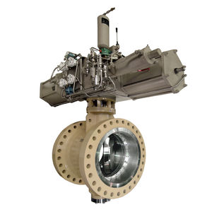 butterfly valve