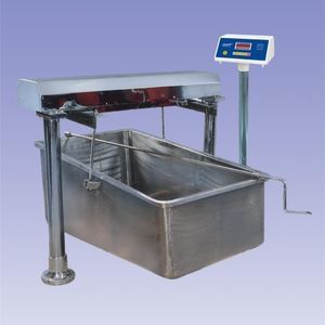 electronic weighing system
