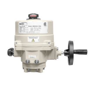 electric valve actuator