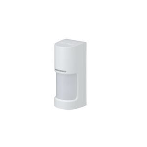 intrusion detector 1