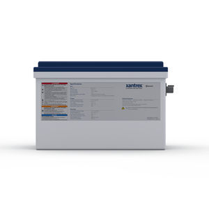 lithium-ion battery