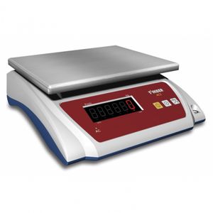 platform scale