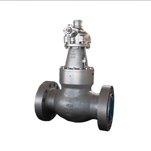 globe valve