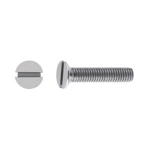 slotted screw