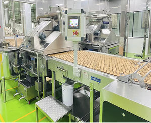 biscuit production line with mixer