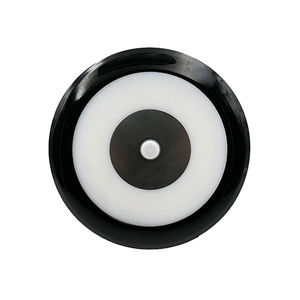 ceiling-mounted lighting
