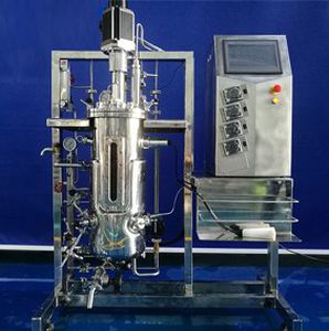 stirred-tank bioreactor / fermentor