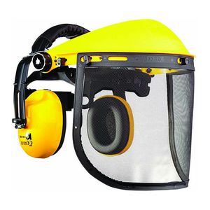 protective visor