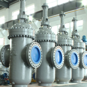 flexible wedge valve