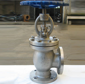 globe valve