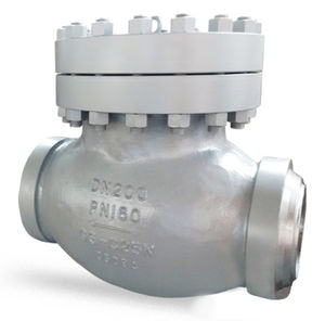 swing check valve