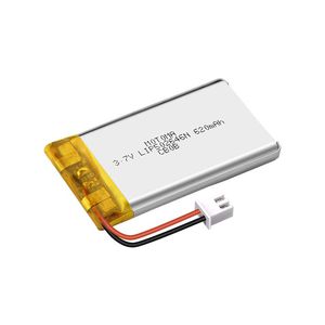 lithium-polymer battery 1