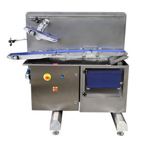belt conveyor